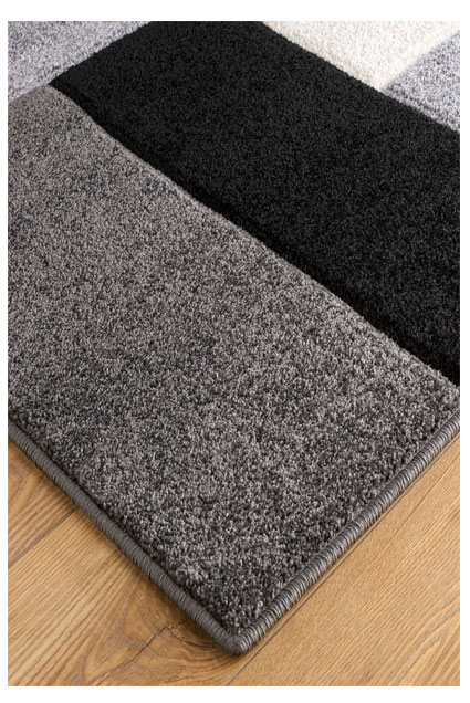 8425B-2 rug