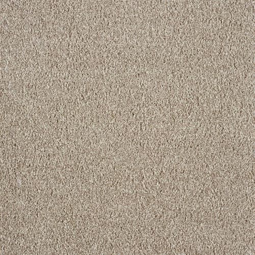 sumptuous-2680 carpet